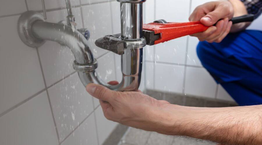 Professional Leak Detection services in Birchleaf, VA